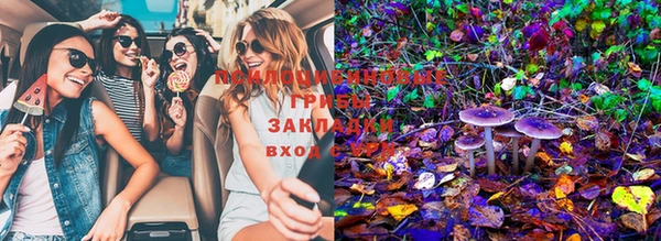мяу мяу кристалл Тайга