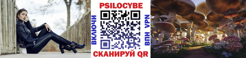 Псилоцибиновые грибы Psilocybe  Купить  Райчихинск 